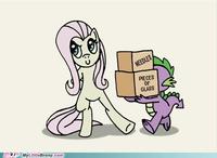 Flutterrage / Flutterbitch