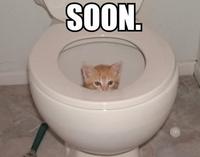 SOON