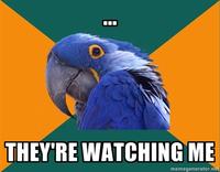 Paranoid Parrot