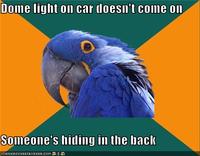 Paranoid Parrot