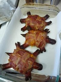 Bacon