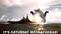 Caturday