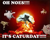 Caturday