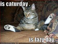 Caturday