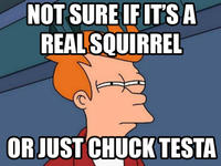 Nope! Chuck Testa