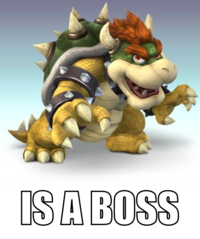 Like A Boss