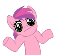 Pony Reactions