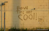 Bow Ties Are Cool
