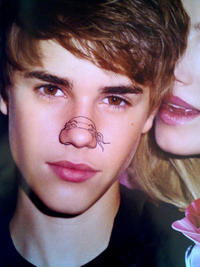 Teenage Mutant Ninja Noses