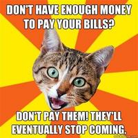 Bad Advice Cat