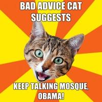 Bad Advice Cat