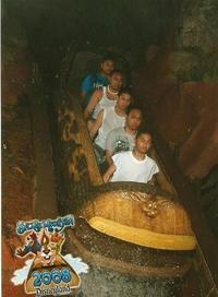 Roller Coaster Chess