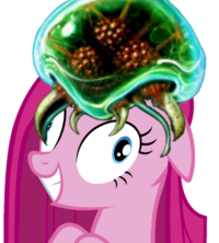 Pony Reactions