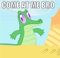COME AT ME BRO