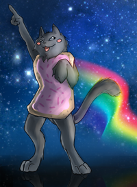Nyan Cat / Pop Tart Cat