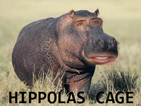Nicolas Cage