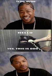 Yes, This is Dog