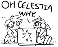 Pony Reactions