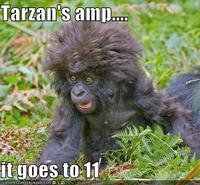 Tarzansamp128510746271875000