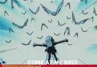 COME AT ME BRO