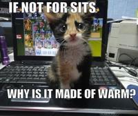 LOLcats