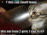 2 Girls 1 Cup