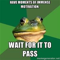 Foul Bachelor Frog