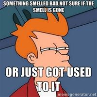 Futurama Fry / Not Sure If X
