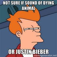 Futurama Fry / Not Sure If X