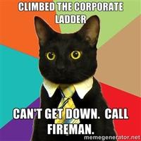 Business Cat