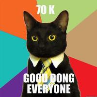 Business Cat