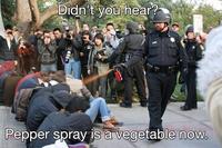 Casually Pepper Spray Everything Cop