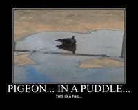 Demotivational Posters