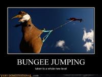Demotivational Posters