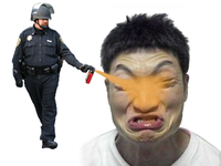 Casually Pepper Spray Everything Cop