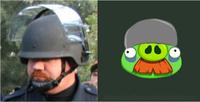 Angry-spraycop