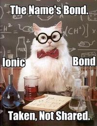 Chemistry Cat