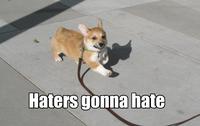 Haters Gonna Hate