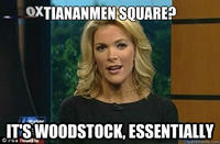 Megyn Kelly Essentially