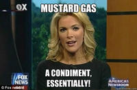 Megyn Kelly Essentially