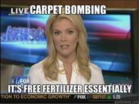 Megyn Kelly Essentially