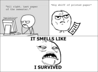 Rage Comics