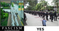Occupy Wall Street