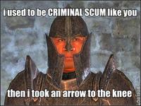 I Took an Arrow in the Knee