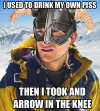 I Took an Arrow in the Knee