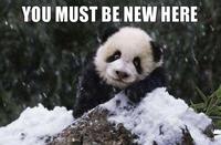 You Must Be New Here