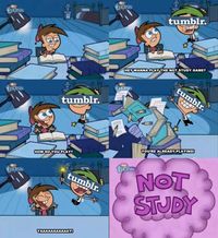 Tumblr