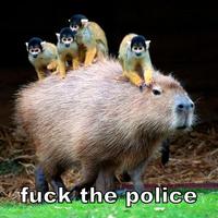 Fuck the Police