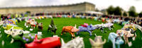 Tilt Shift Effect
