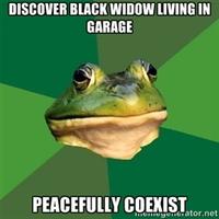 Foul Bachelor Frog